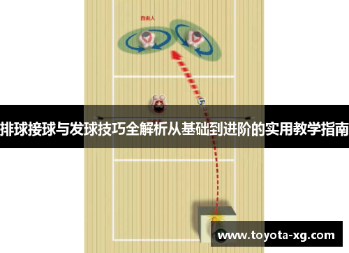 排球接球与发球技巧全解析从基础到进阶的实用教学指南