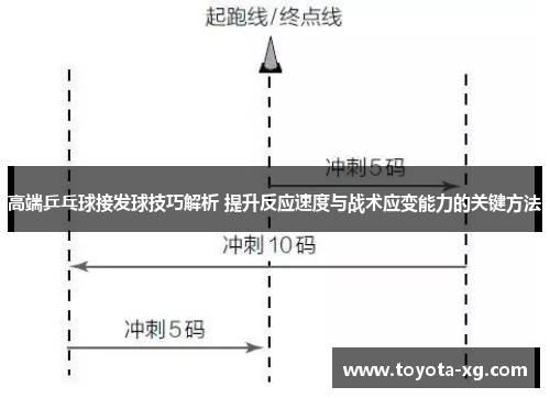 高端乒乓球接发球技巧解析 提升反应速度与战术应变能力的关键方法